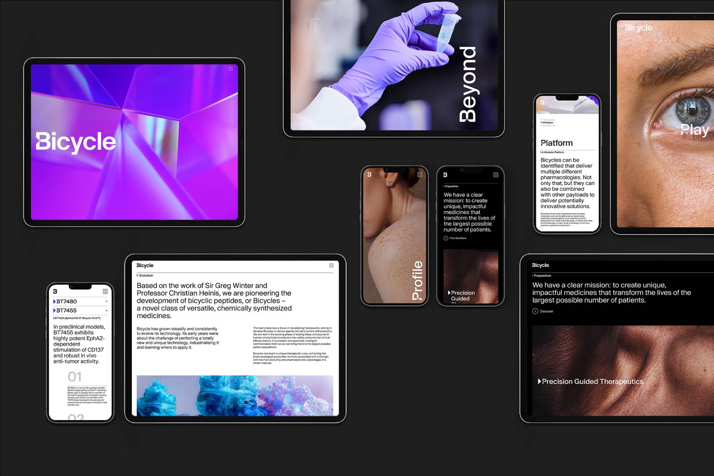 Gs Website Bt Website Overview 3000Px