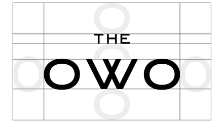 Owo Case Gs Website 210928 31