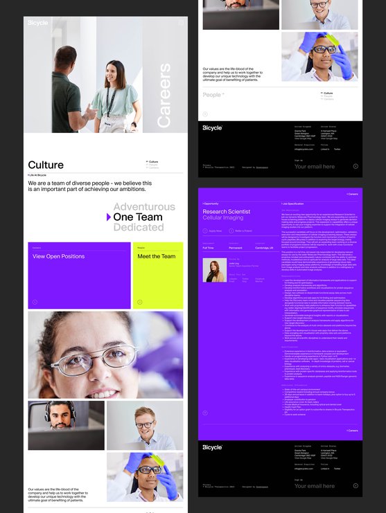 Gs Website Bt Website Careers Overview 3000Px