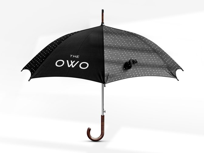 Owo Case Gs Website 210928 16