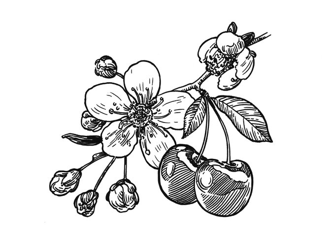 Raffles 230930 Fb Case Study10