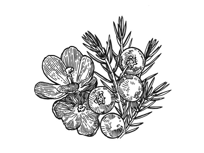 Raffles 230930 Fb Case Study11