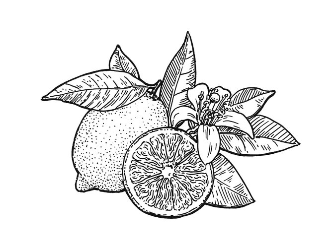 Raffles 230930 Fb Case Study12