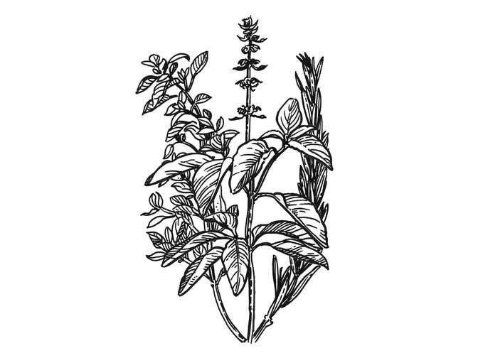 Raffles 230930 Fb Case Study14