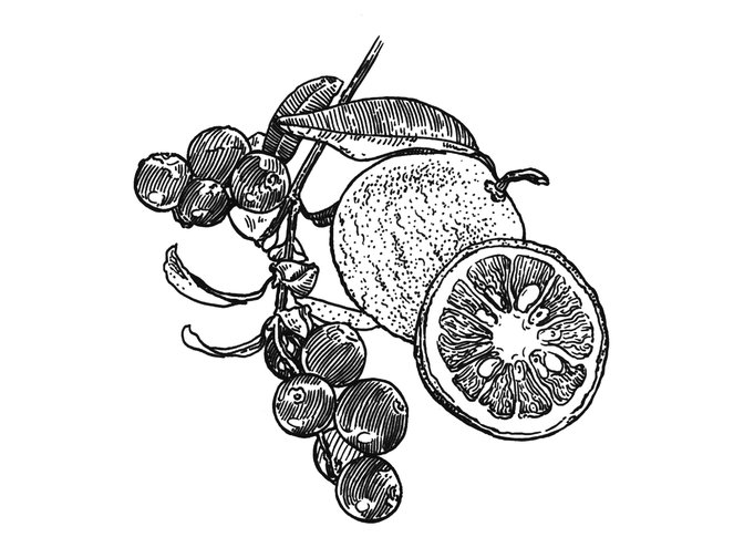 Raffles 230930 Fb Case Study17