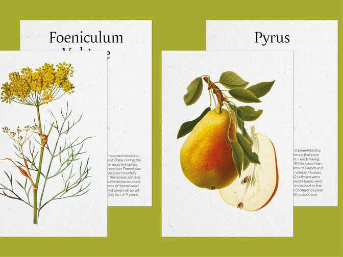 Raffles 230930 Fb Case Study58