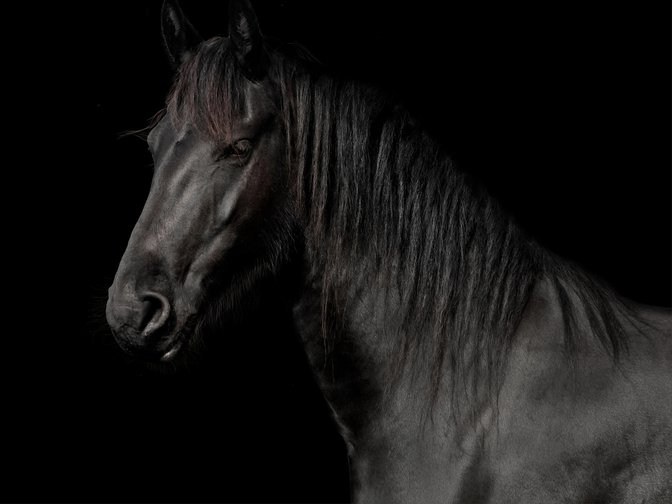 Raffles 230930 Fb Case Study6