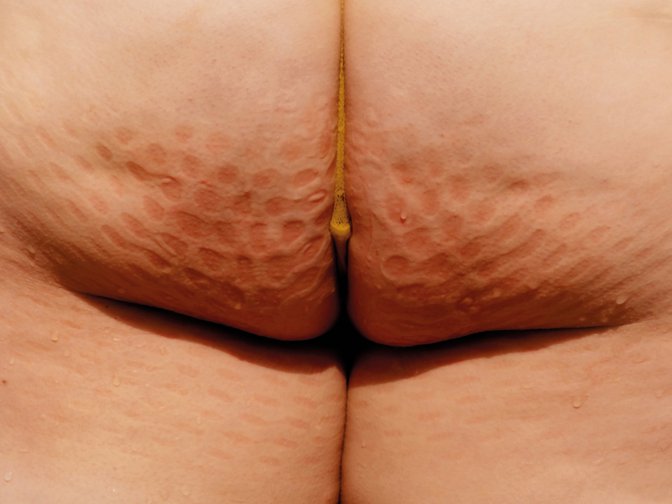 Sod Case Gs Website 211006 8X5